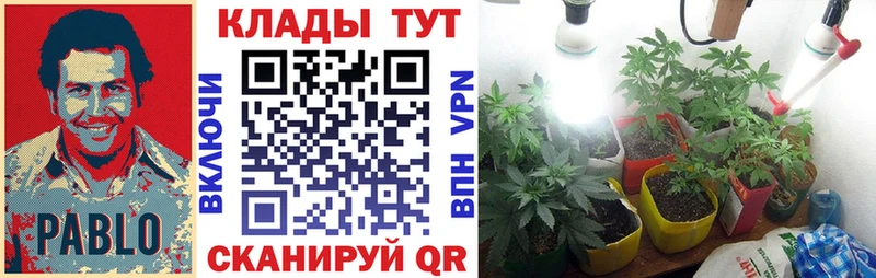 Как найти закладки Северск Канабис  COCAIN  МЕФ 