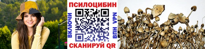 Псилоцибиновые грибы Cubensis  купить наркоту  площадка наркотические препараты  Северск 