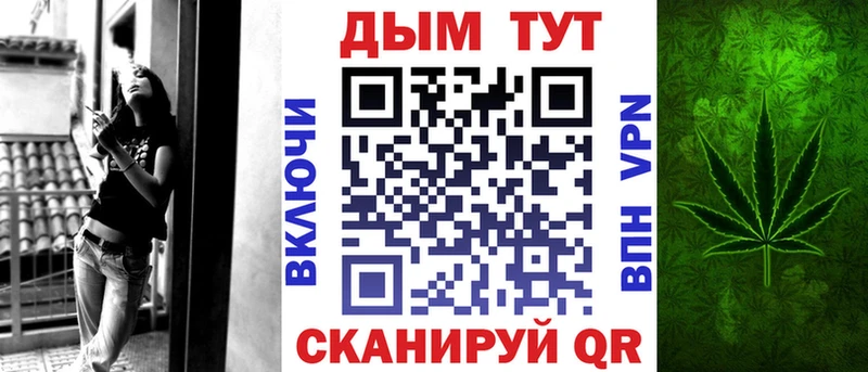 Конопля сатива Северск